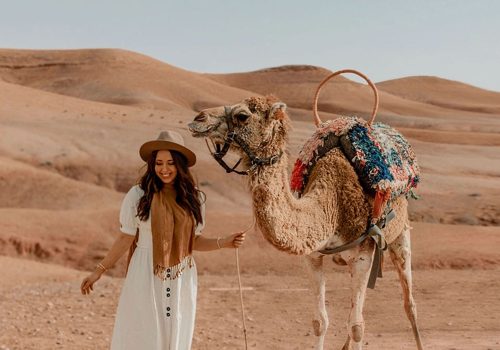 Camel Ride in the Palmeraie of Marrakech ÔÇô Traditional Experience in Nature (1)