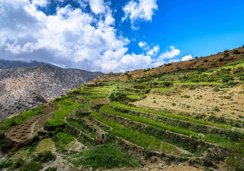 Imlil Day Trip from Marrakech ÔÇô Gateway to the High Atlas Mountains (1)