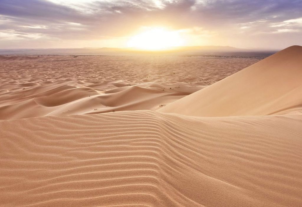 Zagora 2-Day Desert Tour from Marrakech ÔÇôJourney to the Gateway of the Sahara (3)